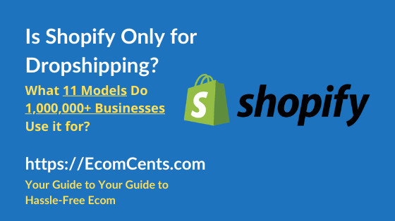 Is Shopify for Dropshipping Only