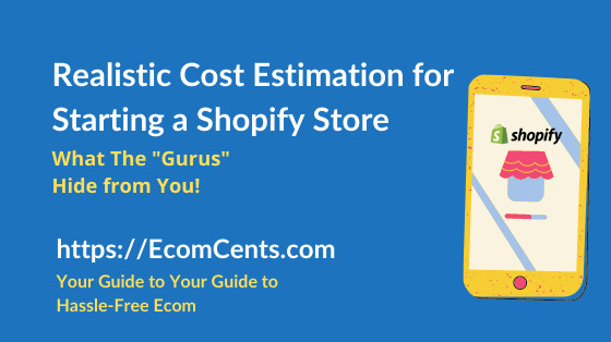 Cost to Set Up a Shopify Store